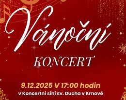 Vanocni_ZUS_sro_2025_uvod